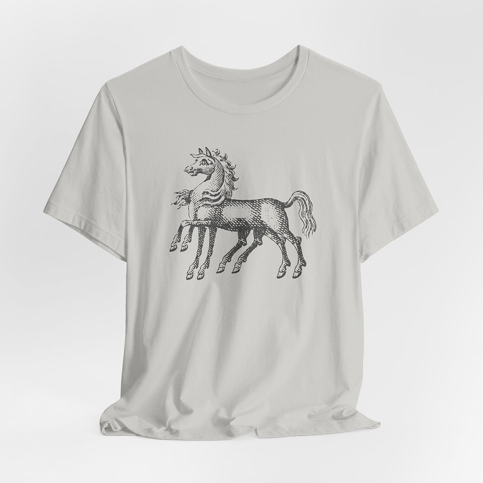 Thumbnail: Sleipnir | Bella+Canvas | Silver
