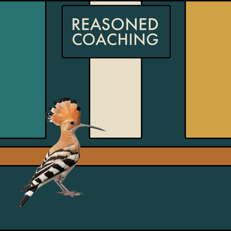 style board for reasoned coaching