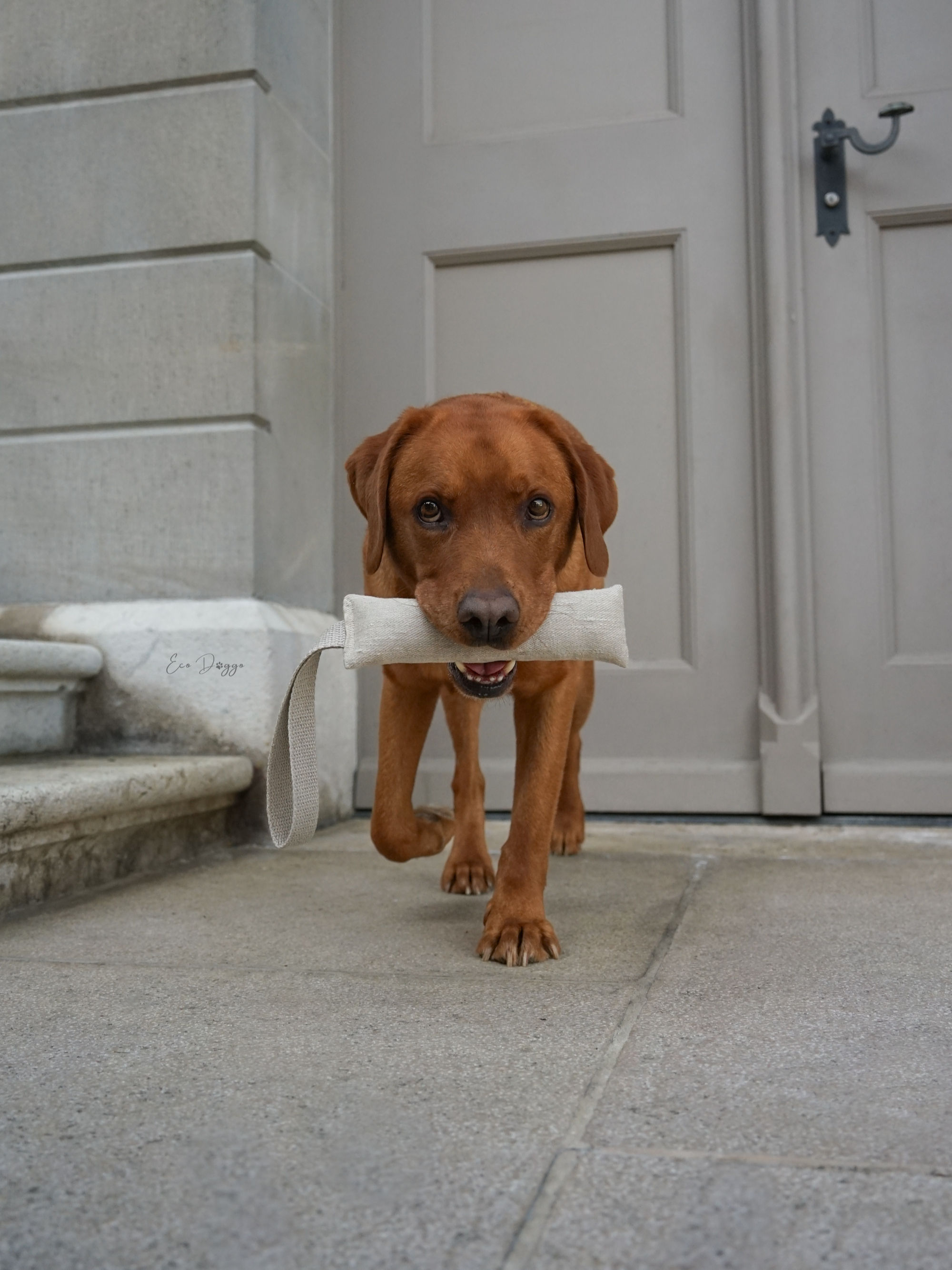 Natürliches Zerrspielzeug