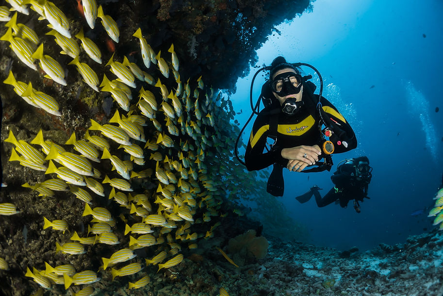 Scuba Diving Courses Fort Lauderdale Florida