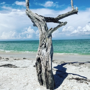 Boating in Boca Grande