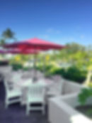 Pink elephant outside dining