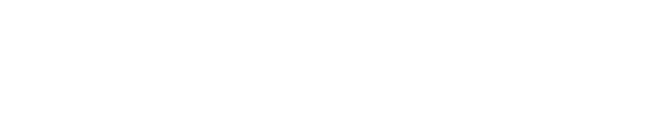 The Duarte Firm Logo