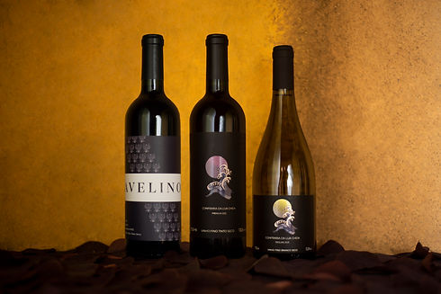 3 Vinhos Fundo Amarelo Campanha.jpg