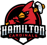 Dinner with the Cardinals - Bird Feeder Night!