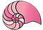 Caracola Creations logo featuring a nautilus shell in various shades of pink. The design is transparent, with pink