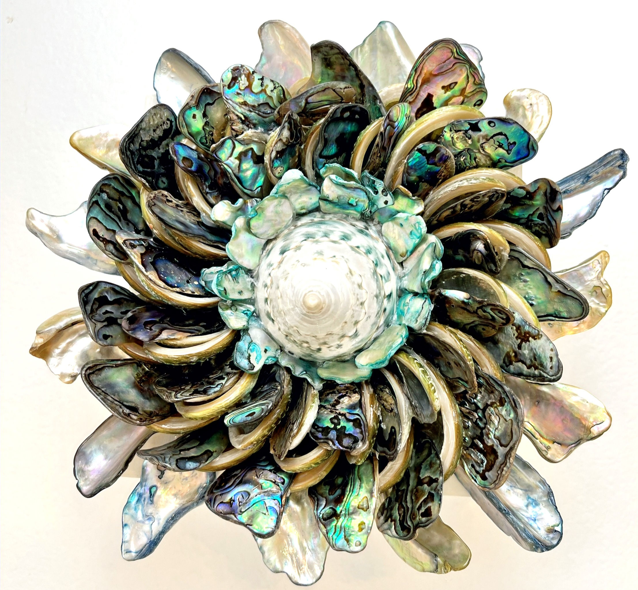 "Ocean Bloom"- Abalone (2)  (5" x 5")