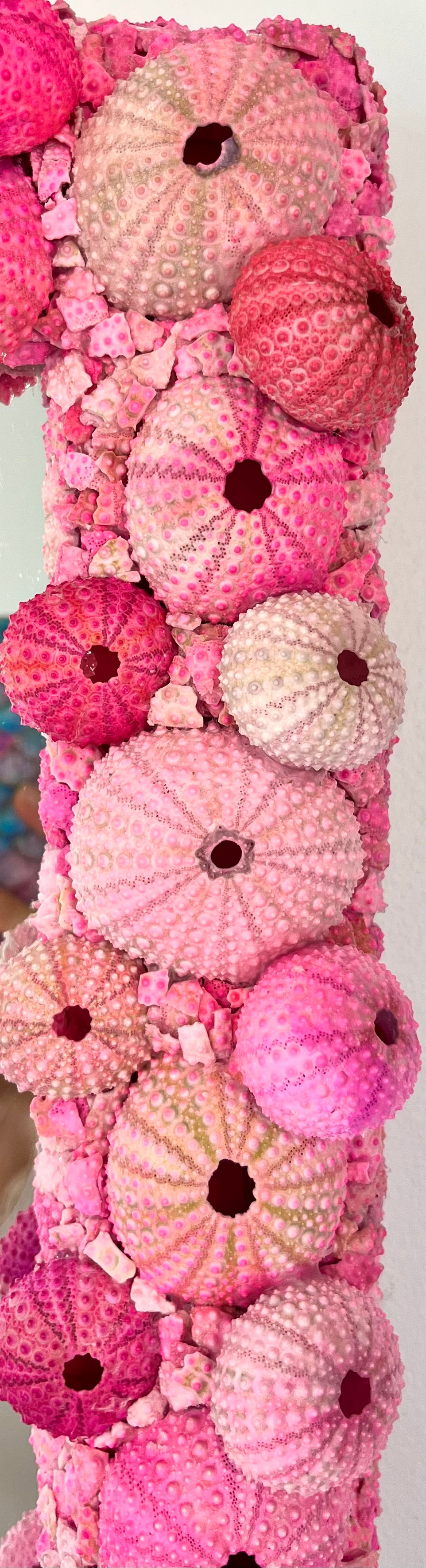 Thumbnail: Pink Sea Dream