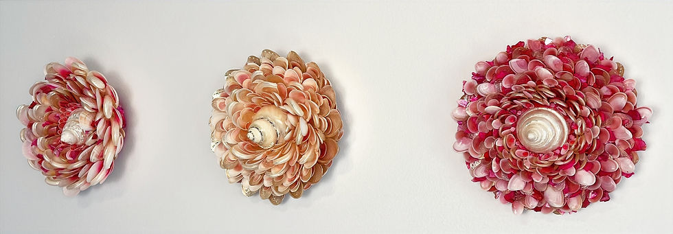 Three Blossoms of the Tides seashell art pieces hung in a row, showcasing the intricate designs and vibrant pink hues, perfect for coastal decor.
