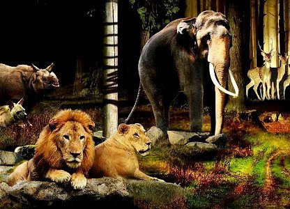 Thumbnail: NIGHT SAFARI SINGAPORE