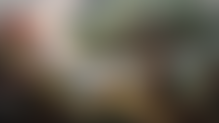 Our story begins before the fall