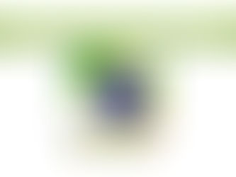 Sistema Financeiro Nacional