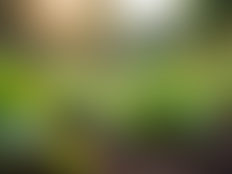 The Importance of Sustainable Living in Today's World