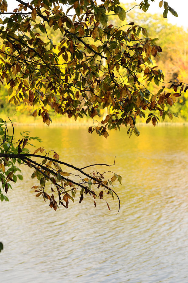 Sweet & Salty Halloween Snack Mix No Cook, Ready in 2 Minutes
