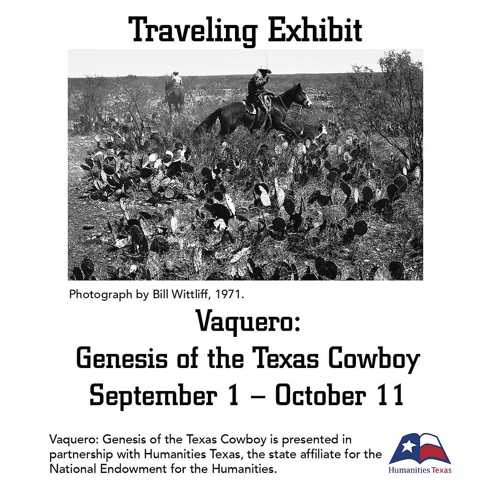 Vaquero: Genesis of the Texas Cowboy