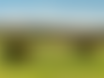 Regional Victoria Vacant Residential Land Tax 2025