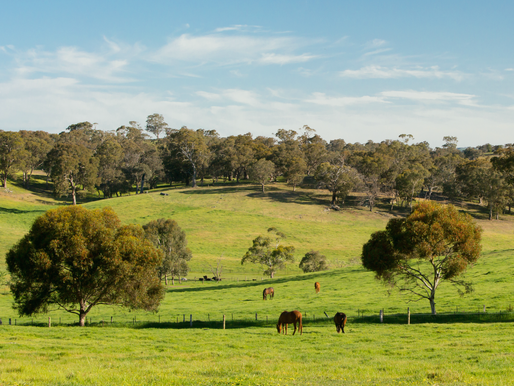 Regional Victoria Vacant Residential Land Tax 2025