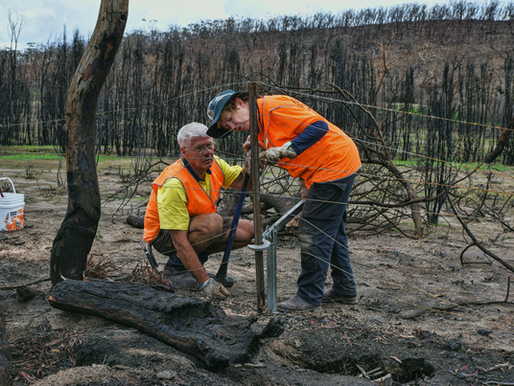 Bushfire Assistance and Tax Relief for Victorians 