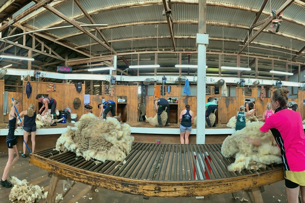 Cross-Border WorkCover Compliance