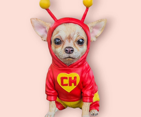 chihuahua1
