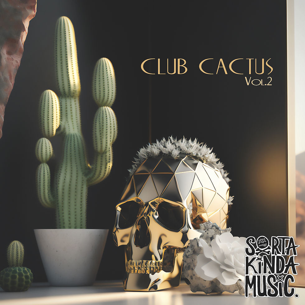 Various Artist compilation by Sorta Kinda Music