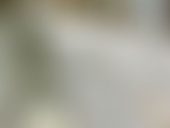 Launching Flown The Coop Stays: Where Rural Hospitality Meets Peace-of-Mind Hospitality