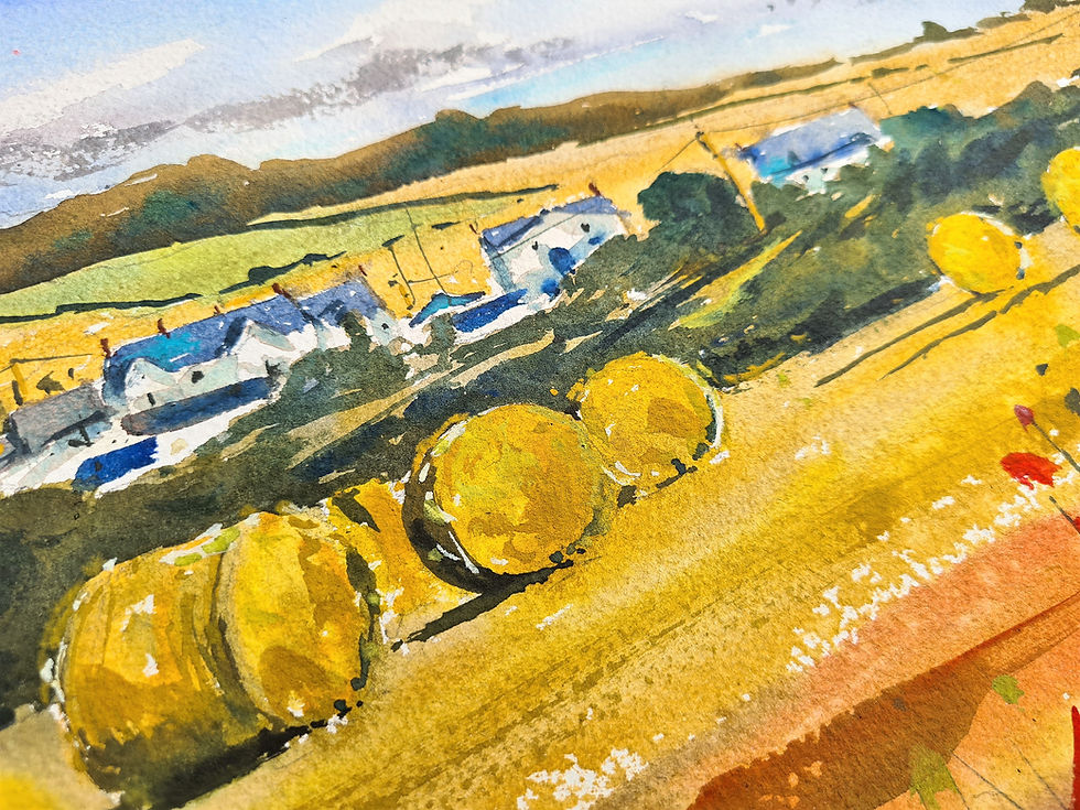 Thumbnail: Hay Bales in St David's, Wales
