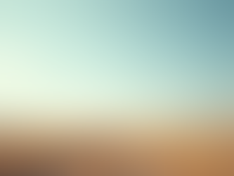 Découvrez le Méthode Manager d'Ose pour les Dirigeants