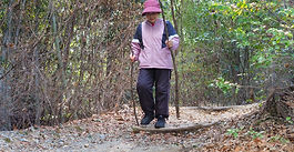 The Surprising Reason Why Hiking in Japan is for Retirees