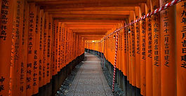Four Must-Use Booking Websites for Your Japan Trip