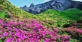 Top Hiking Destinations for May and June
