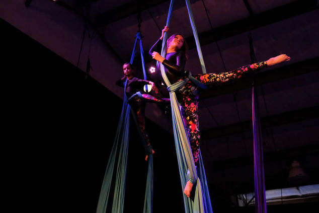 2 young white female bodied students, about age 9-11, in paint splatter patterned tights pose while wrapped in the air in aerial silks. 