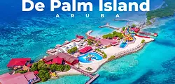 de palm island.webp