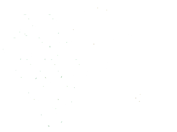 Thurgau Weine_freigestellt2-02.png