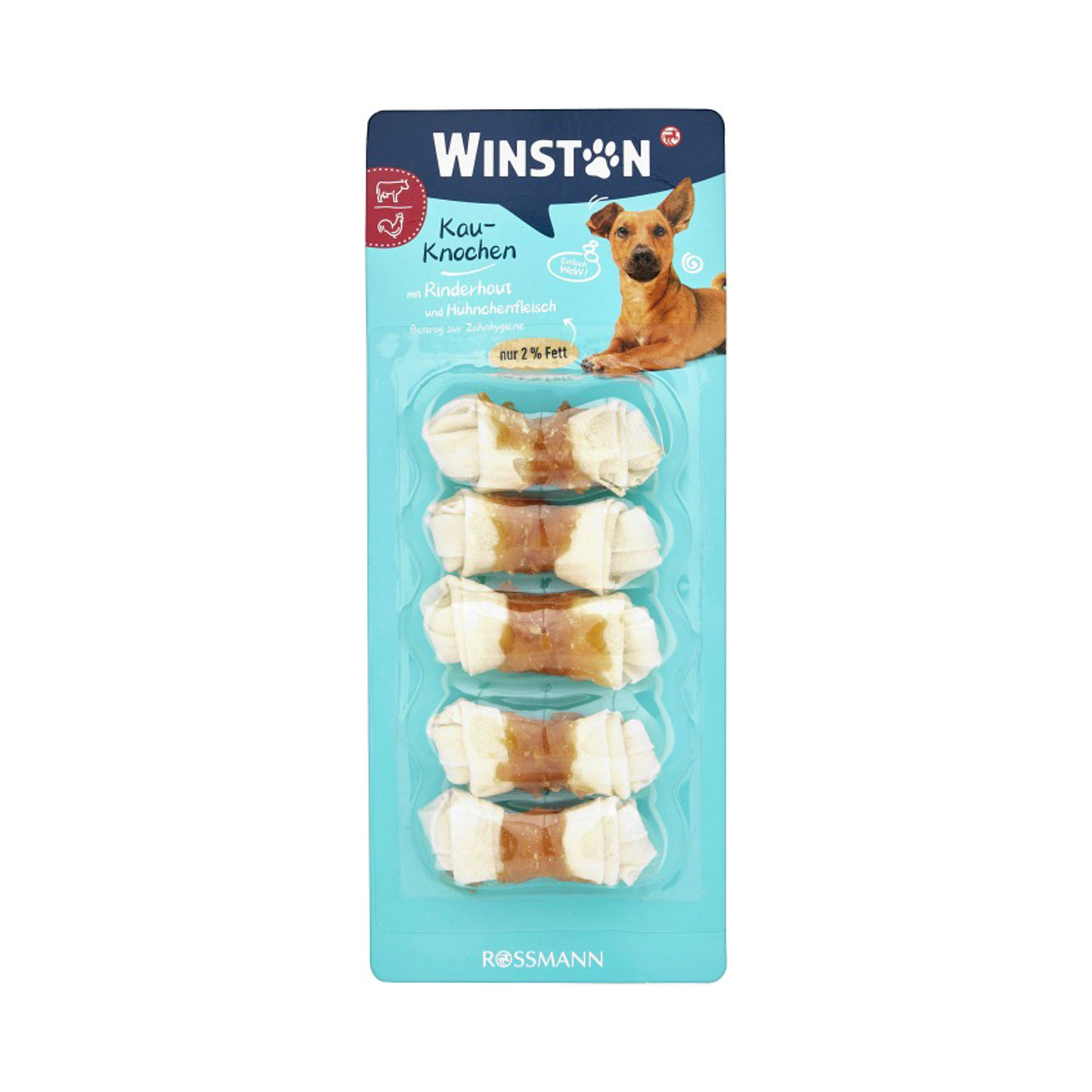 WINSTON H KAUKNOCHEN