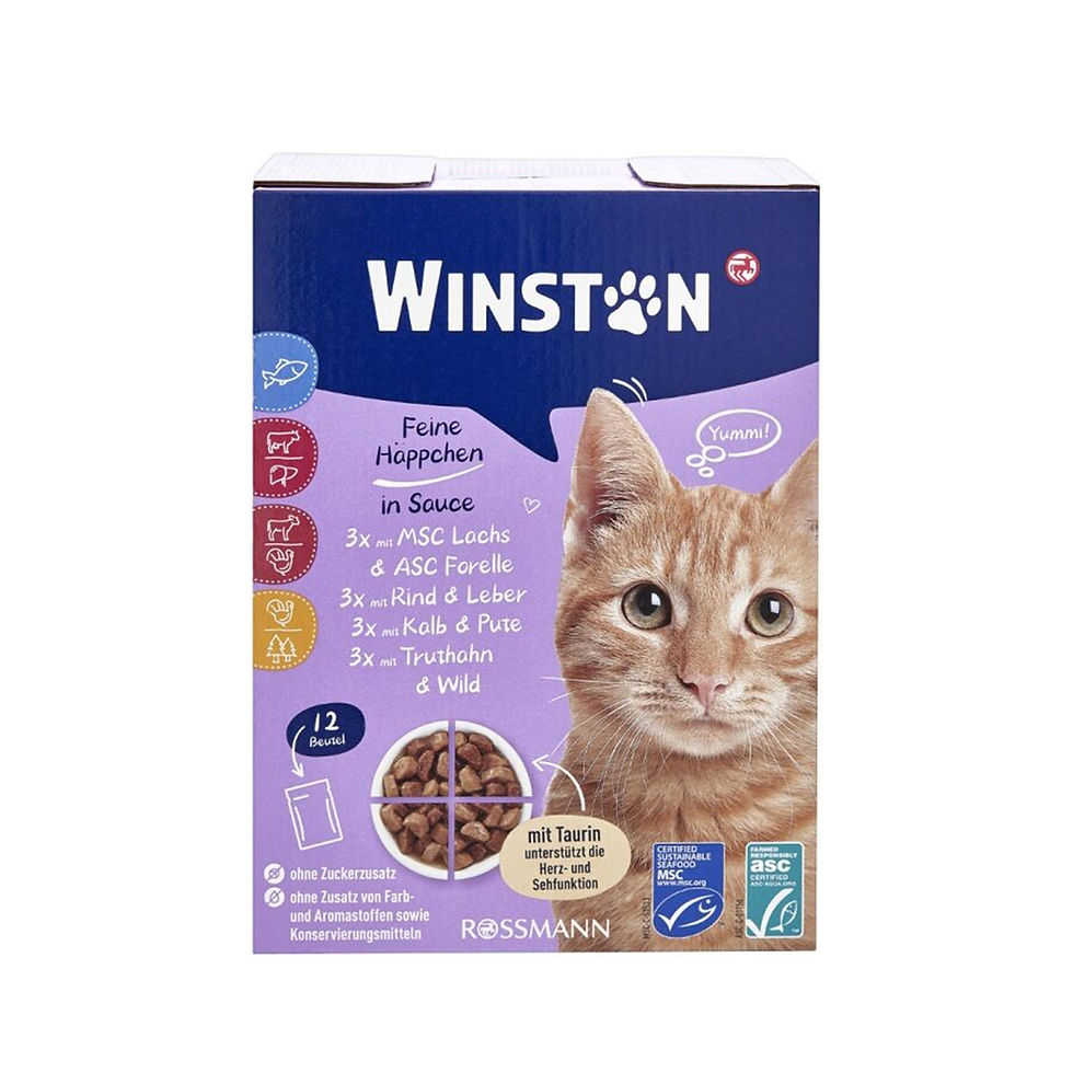 WINSTON K MP SAUCE 12X100G