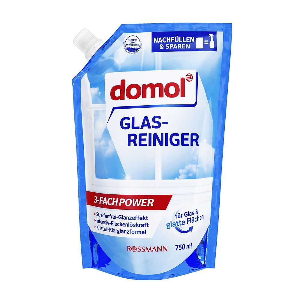 DOMOL GLASREINIGER NFB