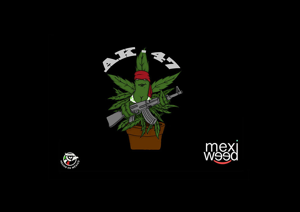 AK 47 Pack 10 Semillas