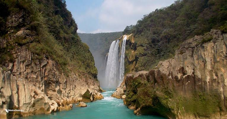 Semillas Hechas en México, ¿son mejores?...