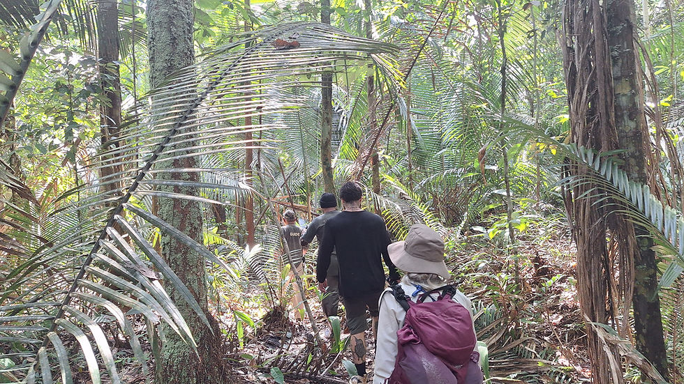 Brasilien – nachhaltige Begegnung mit dem Amazonas Regenwald
