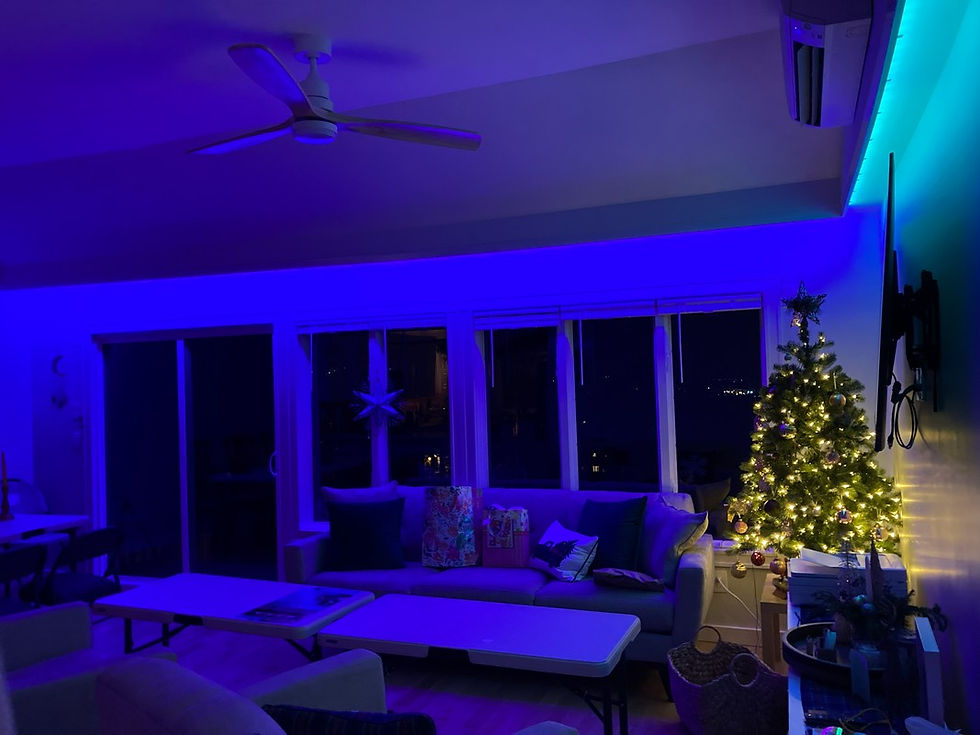 Entrance Level - Living Room 3