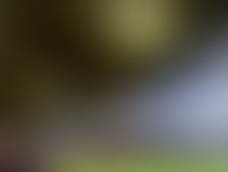 Sickener for battling Fulham as last-ditch goal gives Man United another win at the Cottage