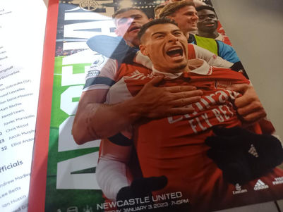 Arsenal thwarted by stubborn Newcastle as relentless home march is brought to a halt