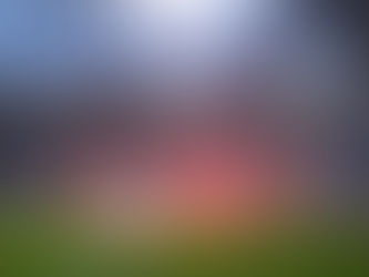 Hammers' great Euro odyssey is over as Leverkusen recover composure to end Irons' comeback dream