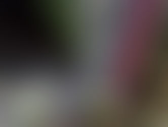 Two-goal Kane gives superior Tottenham safe FA Cup passage at Brighton's expense