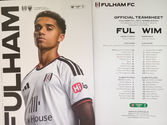 Dons fans in great voice for District Line derby but Fulham shadow team has too much for their heroes