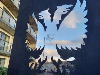 Bad day at the office for AFC Wimbledon as Bristol Rovers cruise to victory at Plough Lane