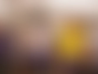 NEW NUMBERS FOR LSU TIGERS