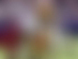 WHO WILL STEP UP AS THE 3RD CORNERBACK ON ROSTER??