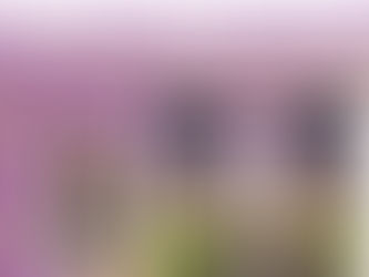 LSU SUED! JOURNALIST PIPER HUTCHINSON WHY SHE'S SUING LSU | LSUODYSSEY LIVE